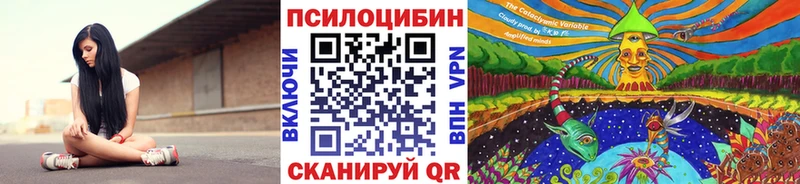 Купить закладки  Петухово  Галлюциногенные грибы Cubensis 